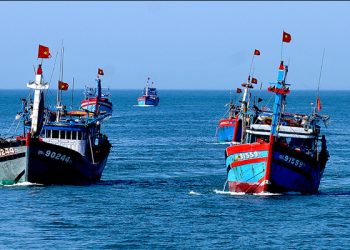 Bảo tồn biển Việt Nam: Giải pháp để phát triển bền vững kinh tế biển