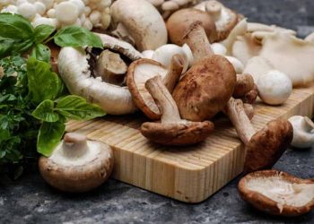 Nấm hương ngăn chận ung thư cổ tử cung -3