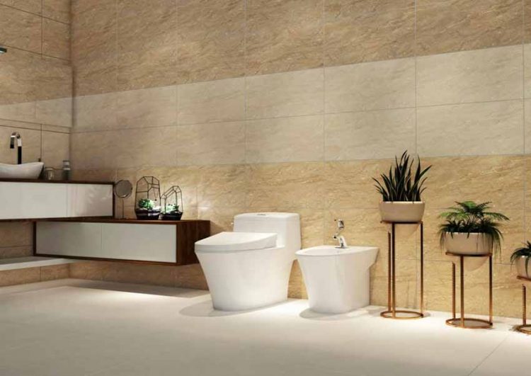 Sứ Thiên Thanh kỷ niệm 70 năm thành lập -3