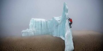 Những hình ảnh ấn tượng trong Giải thưởng nhiếp ảnh quốc tế Siena 2020 -7