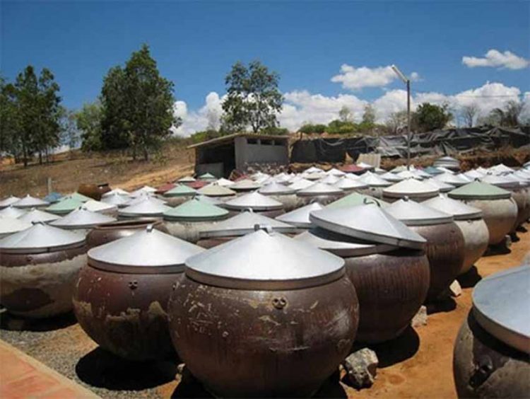 Làng nghề nước mắm ở phan thiết -3