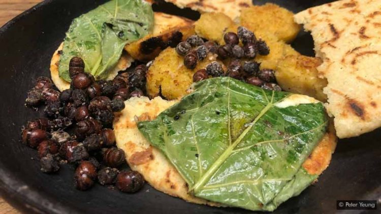 Lạ lùng món kiến mông to của người Colombia -4