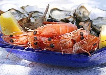 5 nguy cơ chết người từ bao bì nhựa