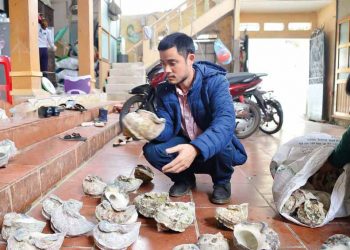 Tìm lối thể hiện mới với sơn - khảm -2