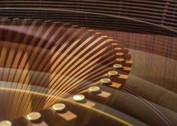 Thiết kế vì một thế giới tốt đẹp hơn – Tham gia hội đàm ngày 16-12-2020