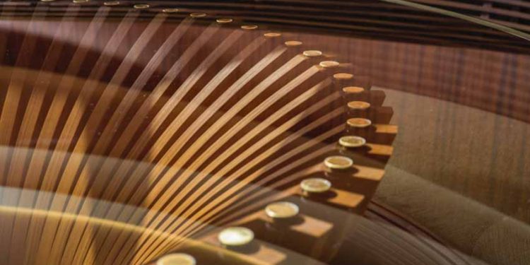 Thiết kế vì một thế giới tốt đẹp hơn – Tham gia hội đàm ngày 16-12-2020