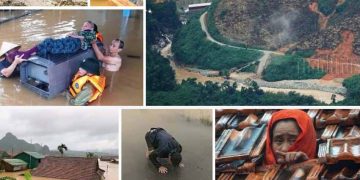 GS-TSKH. Nguyễn Ngọc Lung: 'Chúng ta chỉ thấy cây mà không thấy rừng' - -3