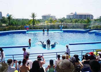 Google cung cấp dữ liệu du lịch cho doanh nghiệp Việt Nam -1