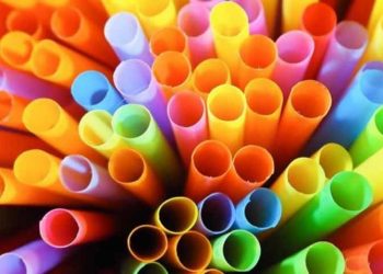 Những lựa chọn thay thế thân thiện môi trường -1