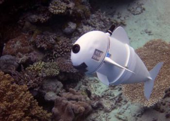 Những ý tưởng bảo quản kỳ dị gặt hái thành công -4