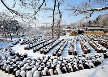 2020 Korea Movie Week - Tuần lễ Du lịch Hàn Quốc qua màn ảnh rộng