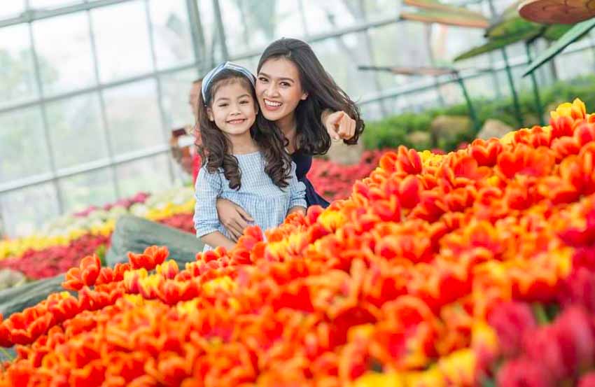 Vui đón hội hoa, say tiệc Countdown tại 'châu Âu thu nhỏ' ở Nha Trang -1