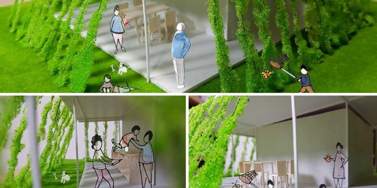 Món quà màu xanh từ quê hương Tiền Giang