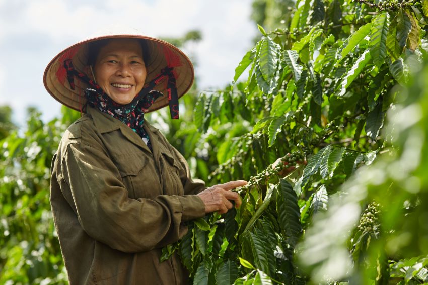 Nestlé nhận giải thưởng
