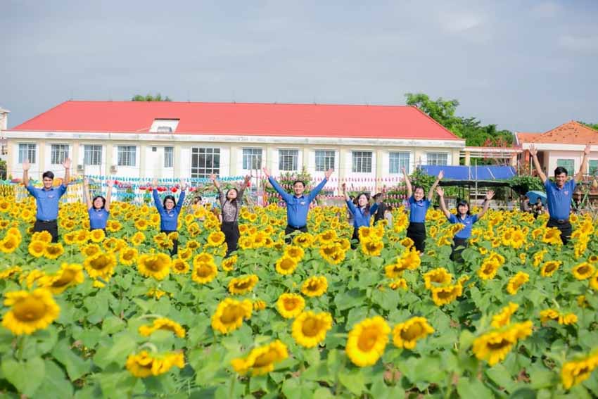 Cánh đồng hoa mặt trời của startup 9x thu hút đông đảo khách tham quan -5