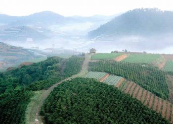 Đà Lạt eo cong của phố -1