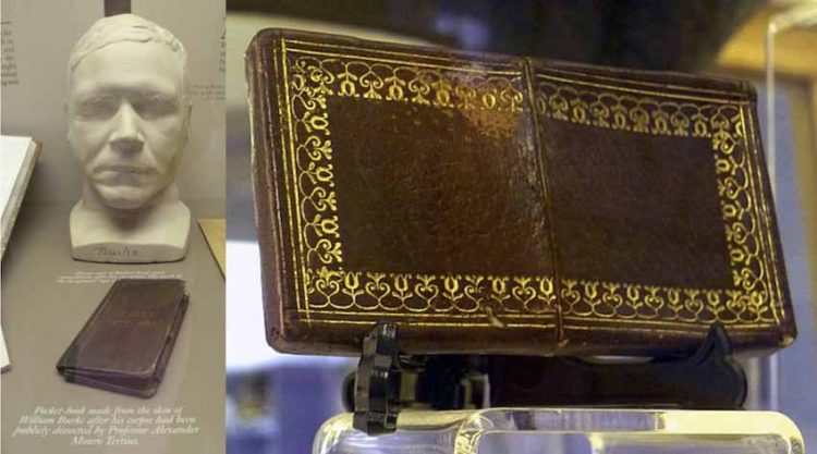 Góc khuất kinh hoàng buổi bình minh ngành giải phẫu - 9