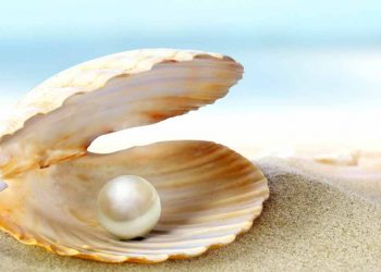 Suy ngẫm: Hãy mài dũa mình - 1