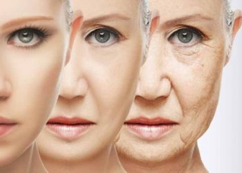 Tranh cãi về giới hạn của tuổi thọ con người - 4