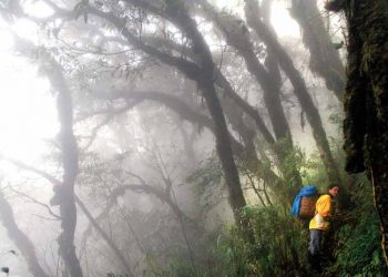 Chinh phục Fansipan trong sương mù - 1