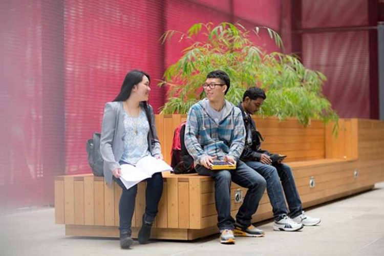 Thêm 1.000 sinh viên quốc tế được trở lại New Zealand học tập