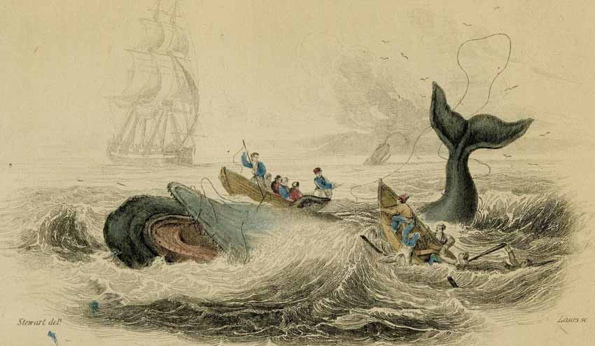 Khám phá 'đảo hải tặc' đời thực: nơi khởi nguồn của Moby Dick - 2