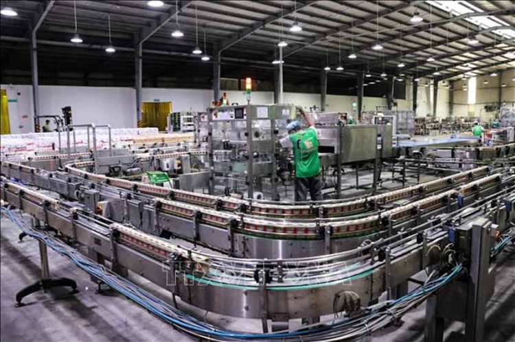 NutiFood và câu chuyện về giải pháp dinh dưỡng của chuyên gia - 3