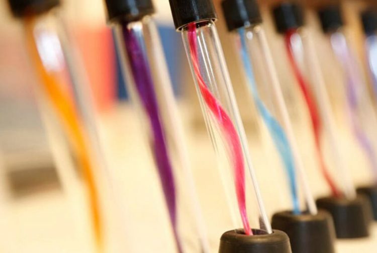 Công năng kỳ diệu của sợi tơ nhện