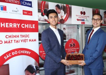 Cherry Chile lần đầu được nhập khẩu vào Việt Nam - 1