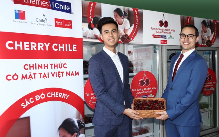 Cherry Chile lần đầu được nhập khẩu vào Việt Nam - 1