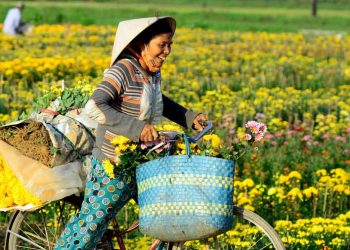 Mẹ và ngày Tết - 1