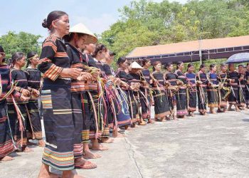 Cỏ thơm - mỹ vị hoang dại - 5