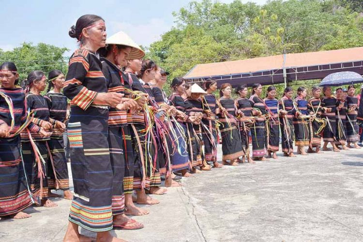 Cỏ thơm - mỹ vị hoang dại - 5