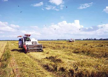 Tập đoàn Lộc Trời: Hiện thực hóa giấc mơ về một nông thôn đáng sống - 2