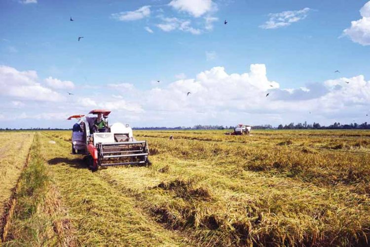 Tập đoàn Lộc Trời: Hiện thực hóa giấc mơ về một nông thôn đáng sống - 2