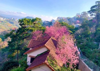 Ngôi nhà đẹp như cổ tích giữa lưng chừng đồi ở Đà Lạt