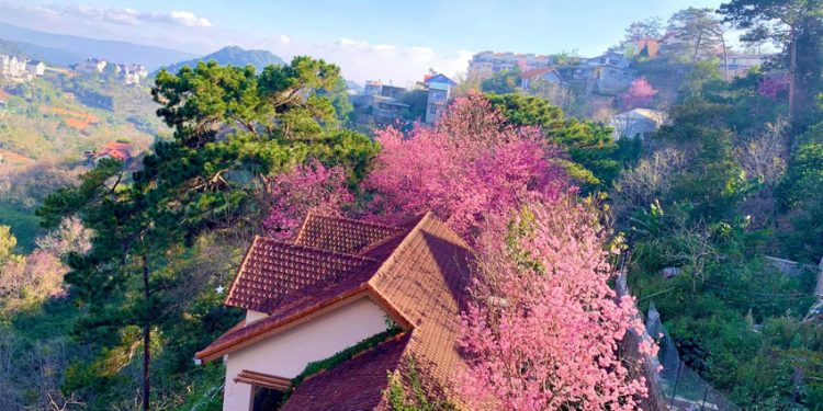 Ngôi nhà đẹp như cổ tích giữa lưng chừng đồi ở Đà Lạt