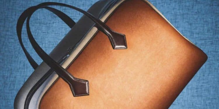 Hermès + MycoWorks ra mắt túi 'da' hình nấm được làm từ sợi nấm - 9