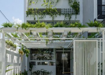 Ngôi nhà tràn ngập thiên nhiên, mang ánh sáng và không khí tự nhiên vào nhà