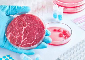 Thịt 'nuôi trồng' trong phòng thí nghiêm có thật sự tốt cho sức khỏe? - 2