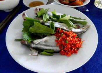 Ăn cá xác chớ nên... 'để bụng' - 2