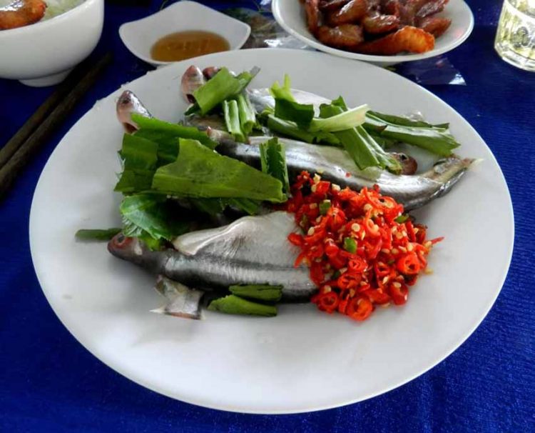 Ăn cá xác chớ nên... 'để bụng' - 2