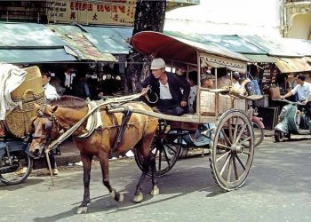 Xe thổ mộ và cái móng ngựa rỉ sét -2