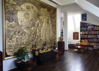 Từ trung cung đến phân cung
