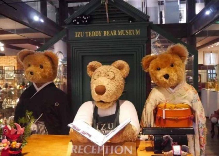 Bí mật của Tổng thống Mỹ Roosevelt và lý do Bảo tàng Gấu Teddy hấp dẫn toàn cầu - 3