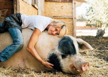 Kỷ nguyên thuần chay hay sự kết thúc của thú vui ăn thịt - 21