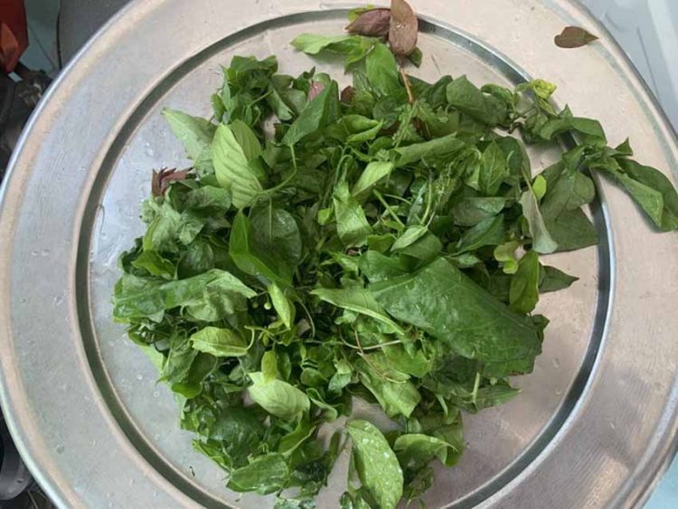 Đi tìm món rau 'gây tò mò''ở Cù Lao Chàm - 4