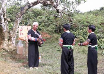 Trà Việt, từ đời thường đến tín ngưỡng dân gian - 3