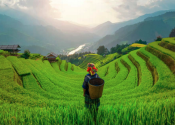 Việt Nam đứng thứ 2 khu vực về tiềm năng phục hồi ngành nông nghiệp thực phẩm - 1