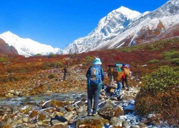 Những con đường đi bộ đẳng cấp thế giới - 2